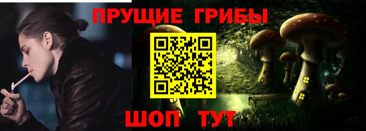 Губкинский  Псилоцибиновые грибы мухоморы  Вход с VPN  Галлюциногенные грибы MAGIC MUSHROOMS 